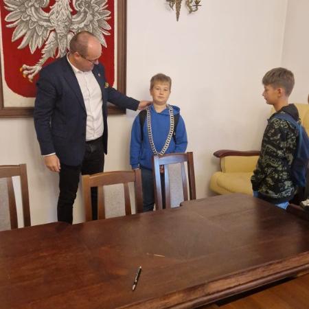 Wyświetl org. rozmiar