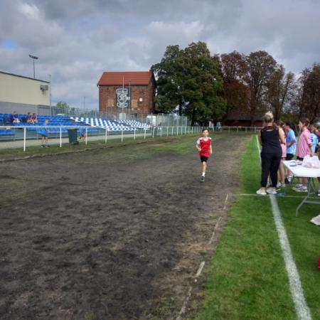 Wyświetl org. rozmiar