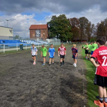 Wyświetl org. rozmiar