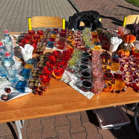 Wyświetl org. rozmiar