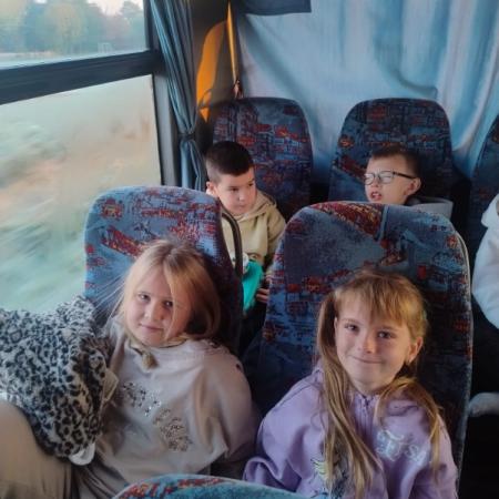 Wyświetl org. rozmiar