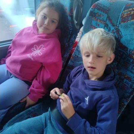 Wyświetl org. rozmiar