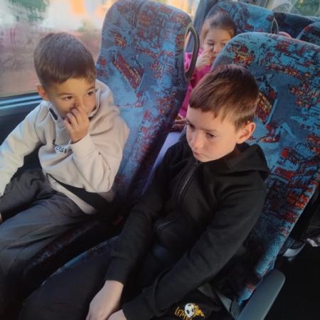 Wyświetl org. rozmiar