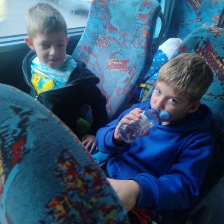 Wyświetl org. rozmiar