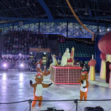 Wyświetl org. rozmiar