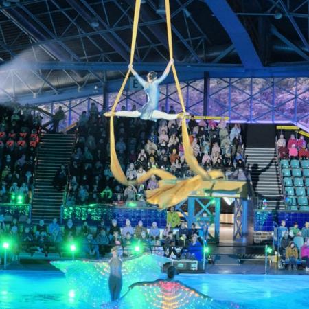 Wyświetl org. rozmiar