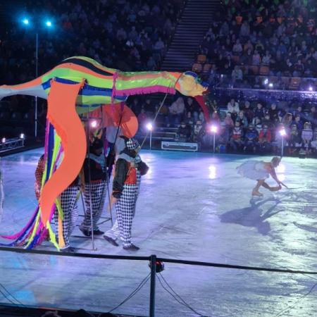 Wyświetl org. rozmiar