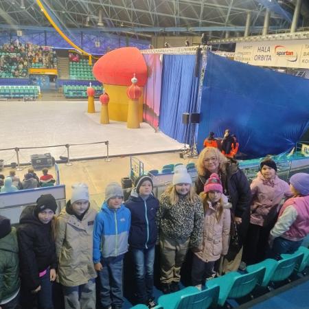 Wyświetl org. rozmiar