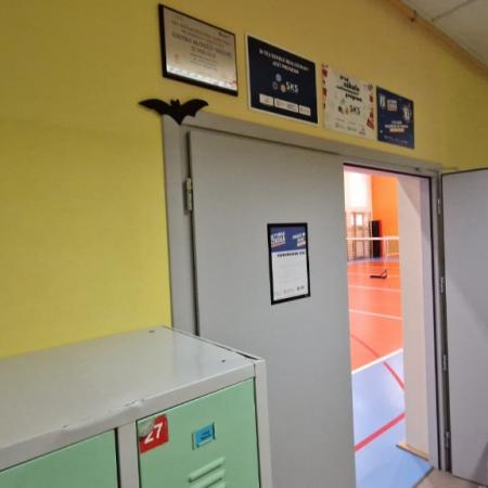 Wyświetl org. rozmiar