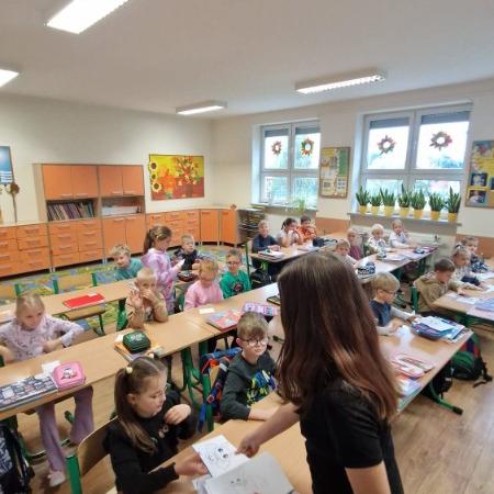 Wyświetl org. rozmiar