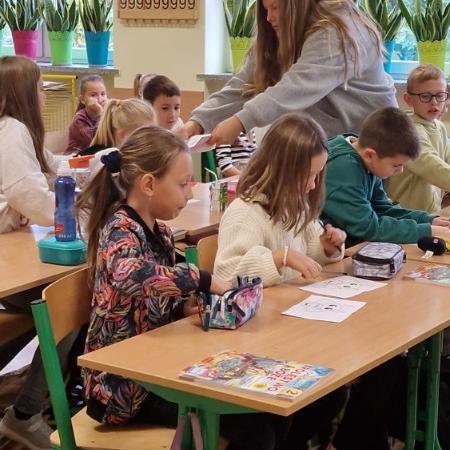 Wyświetl org. rozmiar