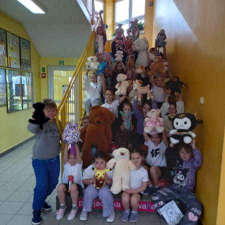 Wyświetl org. rozmiar