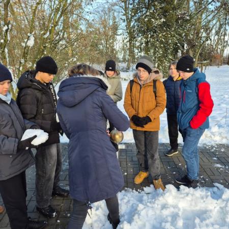 Wyświetl org. rozmiar