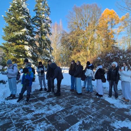 Wyświetl org. rozmiar