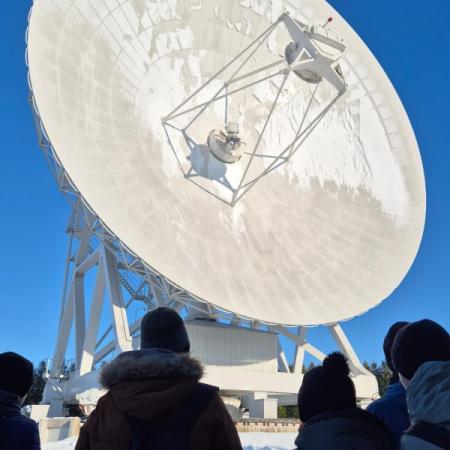 Wyświetl org. rozmiar