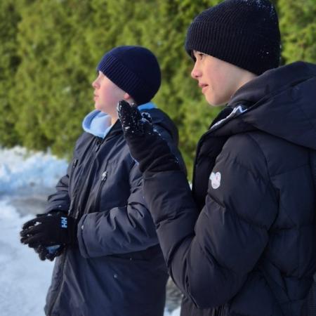 Wyświetl org. rozmiar