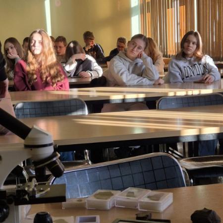 Wyświetl org. rozmiar