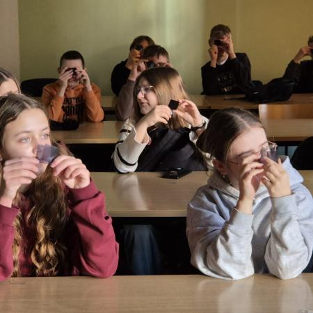 Wyświetl org. rozmiar