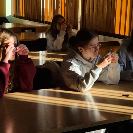 Wyświetl org. rozmiar