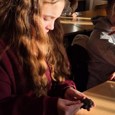 Wyświetl org. rozmiar