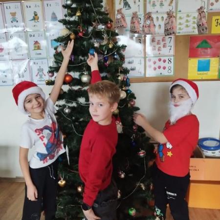 Wyświetl org. rozmiar