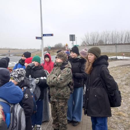 Wyświetl org. rozmiar