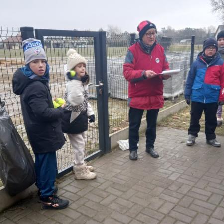 Wyświetl org. rozmiar