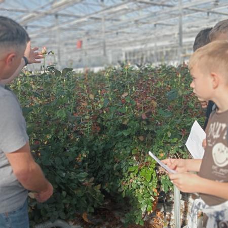 Wyświetl org. rozmiar