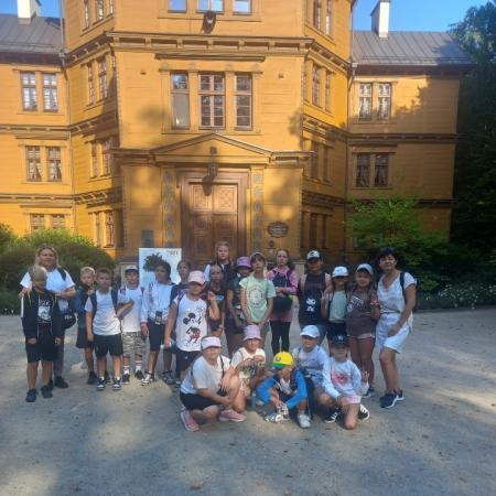 Wyświetl org. rozmiar