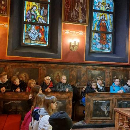 Wyświetl org. rozmiar