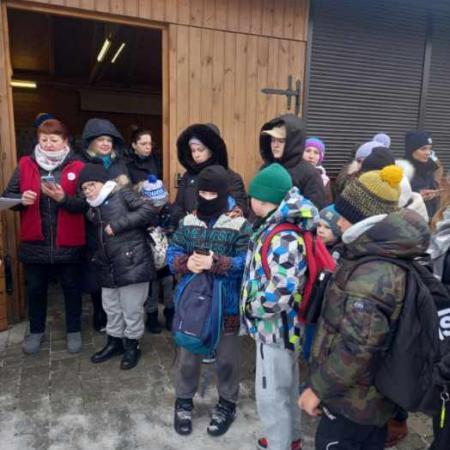 Wyświetl org. rozmiar