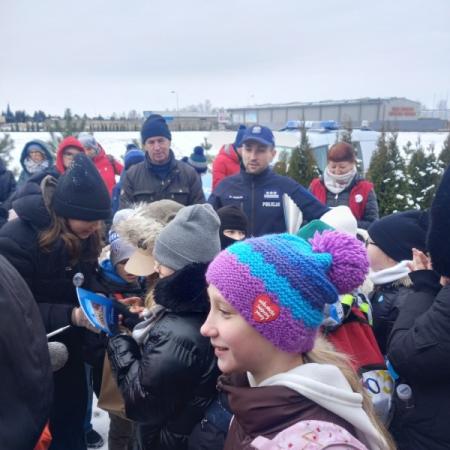 Wyświetl org. rozmiar