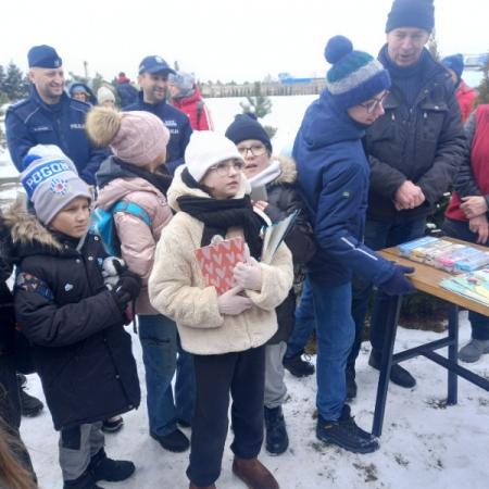 Wyświetl org. rozmiar