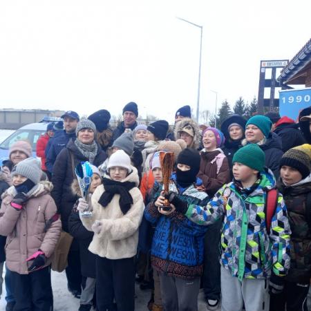 Wyświetl org. rozmiar