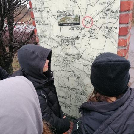 Wyświetl org. rozmiar