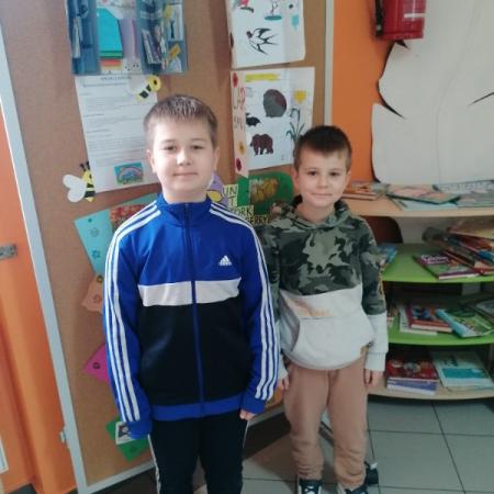 Wyświetl org. rozmiar