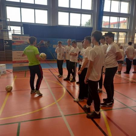 Wyświetl org. rozmiar