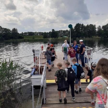 Wyświetl org. rozmiar