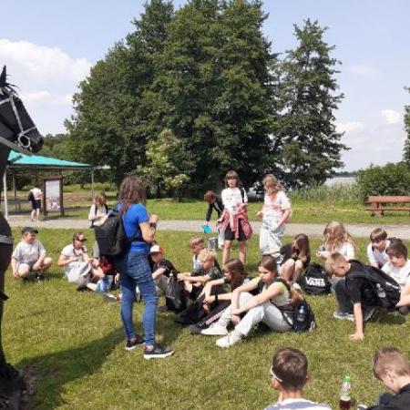 Wyświetl org. rozmiar