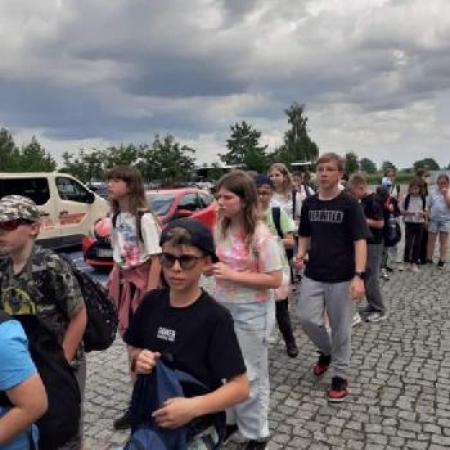 Wyświetl org. rozmiar