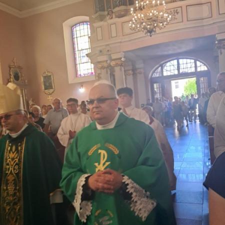 Wyświetl org. rozmiar