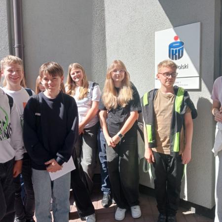 Wyświetl org. rozmiar