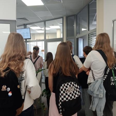 Wyświetl org. rozmiar