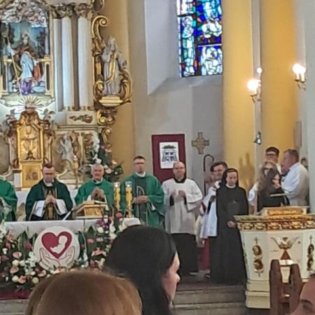 Wyświetl org. rozmiar