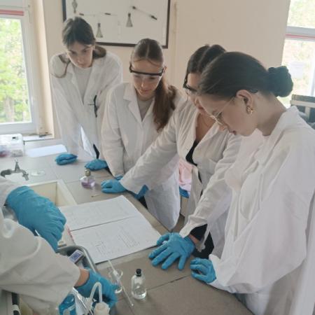 Wyświetl org. rozmiar