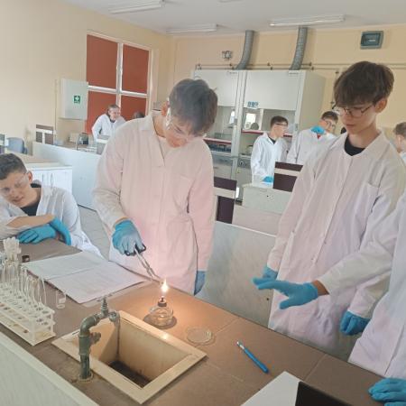 Wyświetl org. rozmiar