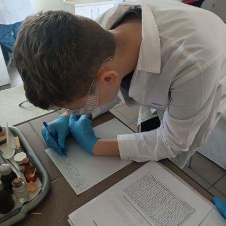 Wyświetl org. rozmiar