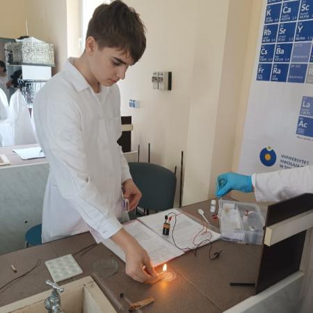 Wyświetl org. rozmiar