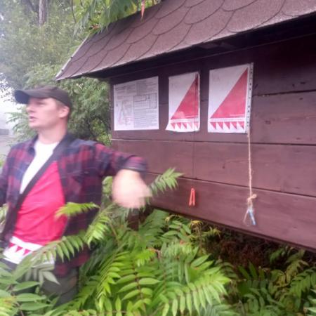 Wyświetl org. rozmiar