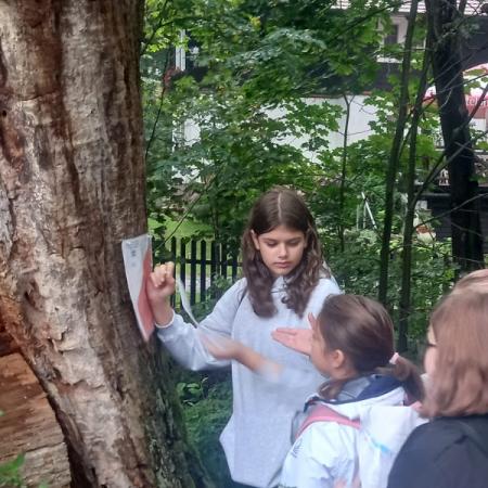 Wyświetl org. rozmiar